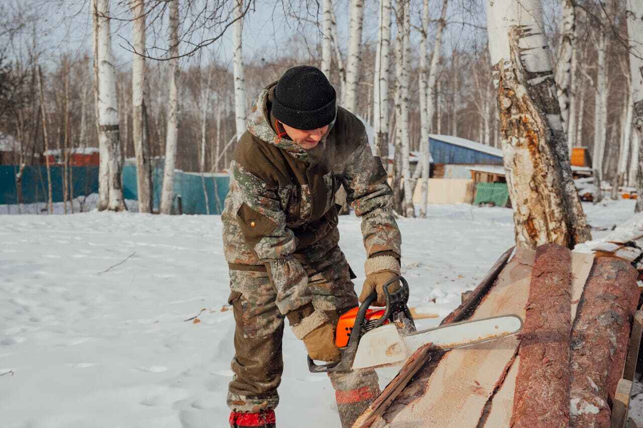 Alexandria, MN Tree Service Company